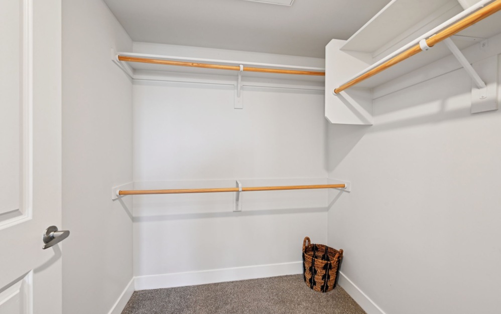 Dali - 1 bedroom floorplan layout with 1 bathroom and 766 square feet (Closet, 2D)