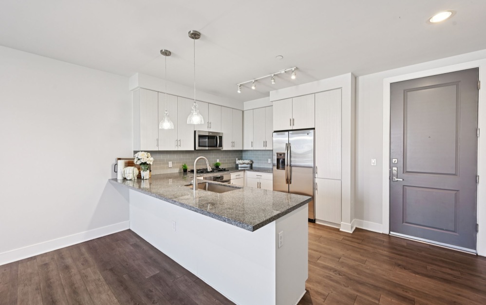 Dali - 1 bedroom floorplan layout with 1 bathroom and 766 square feet (Entry
, 2D)