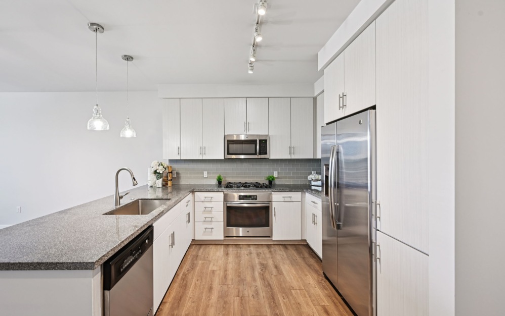 Dali - 1 bedroom floorplan layout with 1 bathroom and 766 square feet (Kitchen
, 2D)