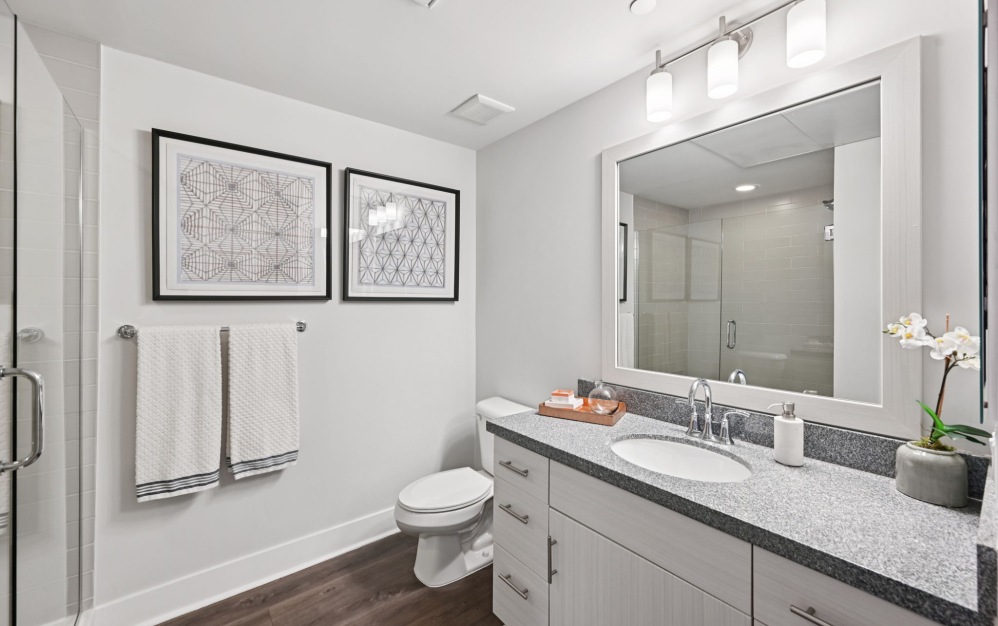 Spacious counterspace inside apartment bathrooms at Arts District