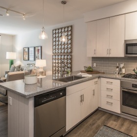 Arta District Apartments kitchen  Gourmet modern apartment kitchen at Arts District